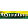 Agricultura
